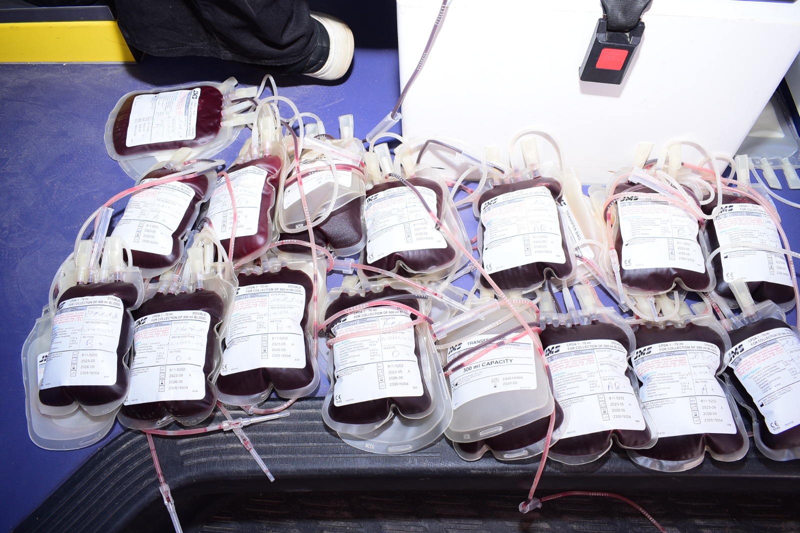 طلاب من أجل مصر بجامعة سوهاج يواصلون  حملة التبرع بالدم للأشقاء فى فلسطين