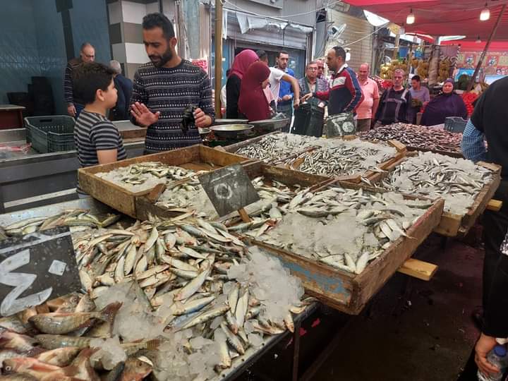 أسواق الأسماك في دمياط (2)