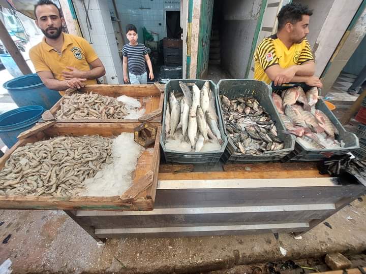 أسواق الأسماك في دمياط
