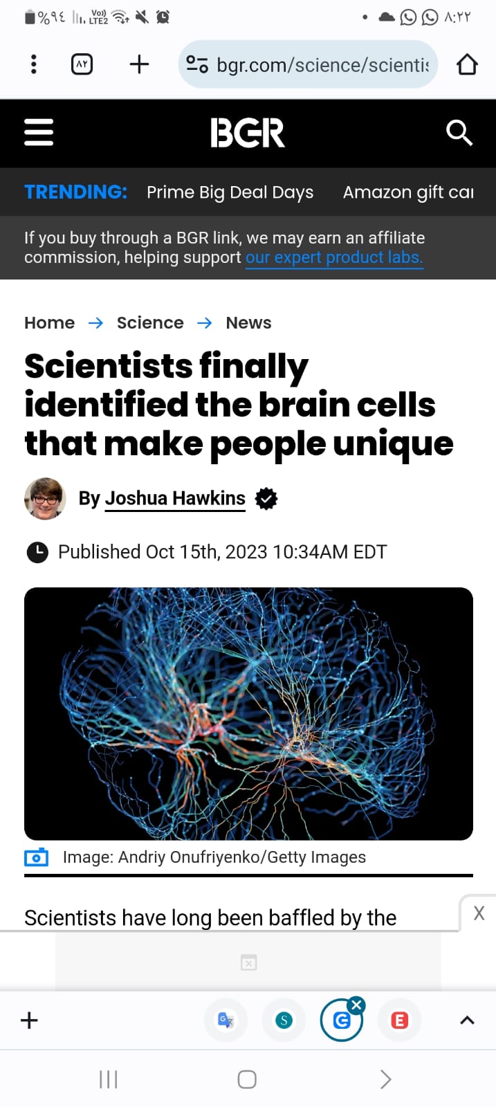 خلايا الدماغ