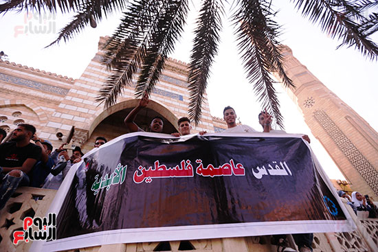 مظاهرة حاشدة بميدان الحصرى لدعم غزة (17)