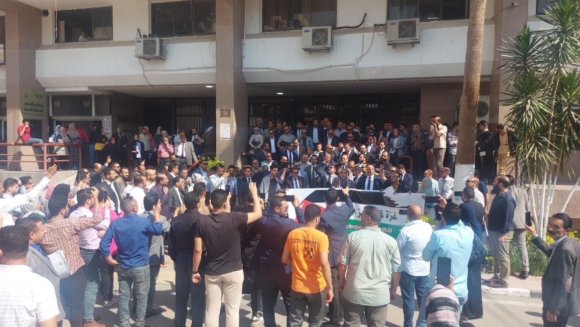 المحامين الإسماعيلية تنظم وقفة تضامنية مع اهالى غزة  (5)