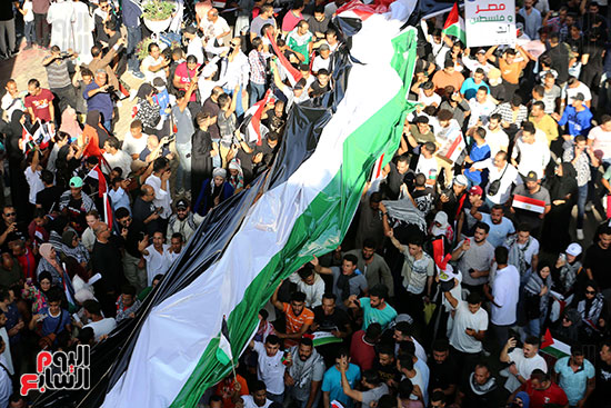 مسيرات دعم غزة (7)