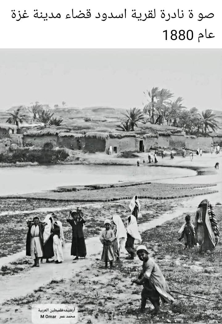  فلسطين قديما  (2)