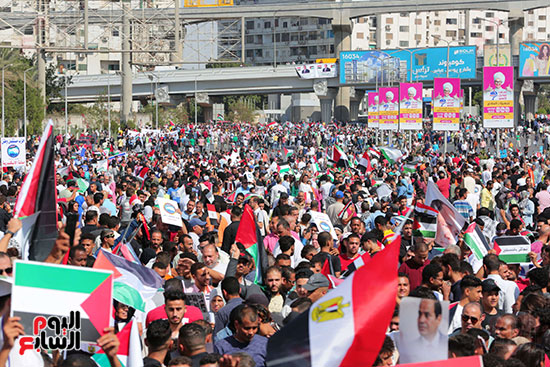 مسيرات المنصة للتضامن مع فلسطين  (14)