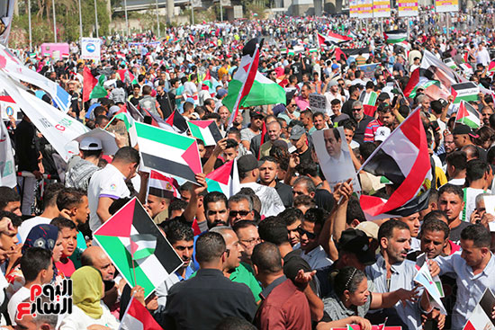 مسيرات المنصة للتضامن مع فلسطين  (12)