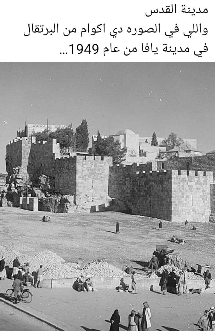 مدن فلسطين قديما  (1)