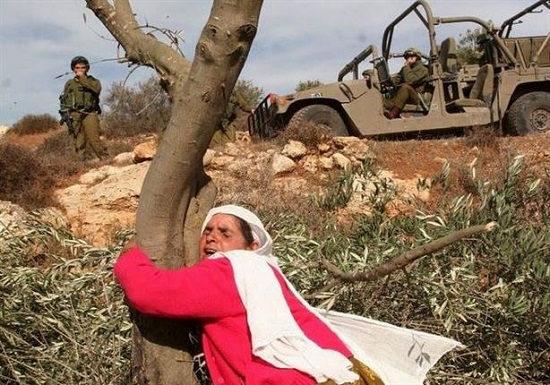 انتهاكات حقوق المرأة الفلسطينية