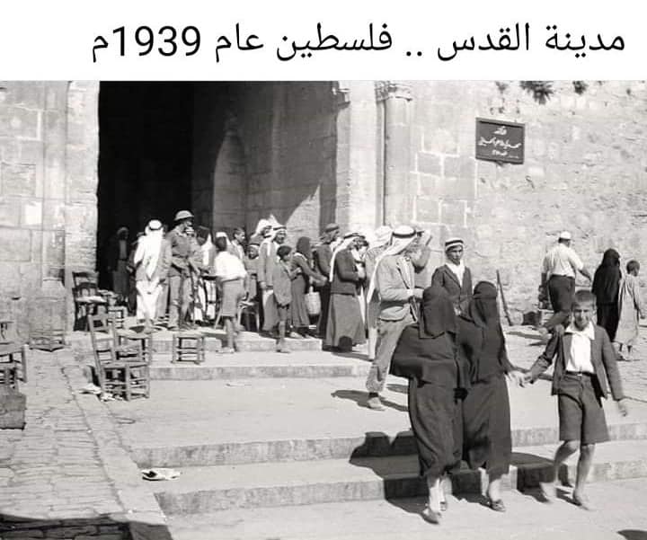  مدن فلسطين قديما  (3)