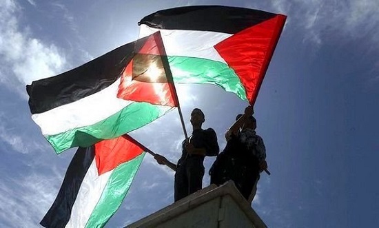 العلم الفلسطينى