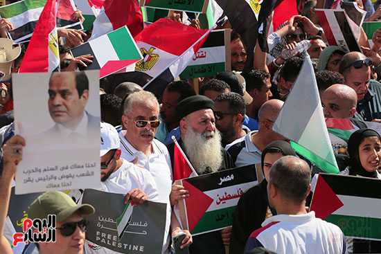 مسيرات المنصة (8)