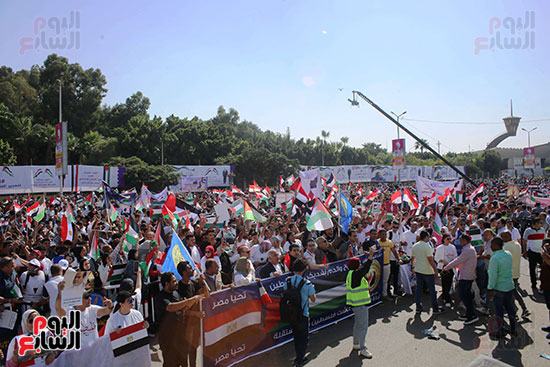 مسيرات المنصة (5)