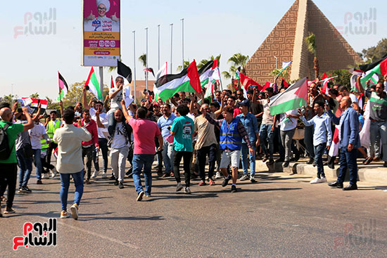 مظاهرات دعم فلسطين (12)