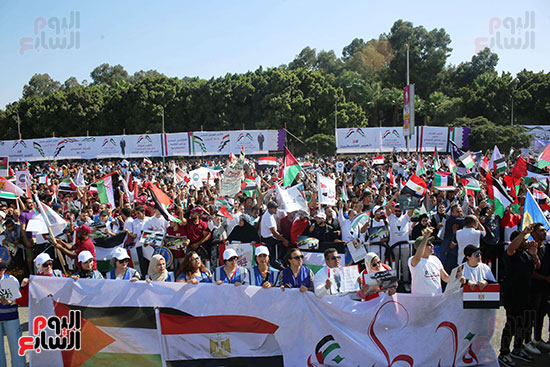 مسيرات المنصة للتضامن مع فلسطين  (13)
