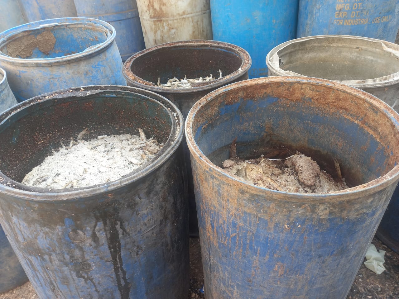  اسماك مملحة غير صالحة للإستهلاك بسوق العبور (1)