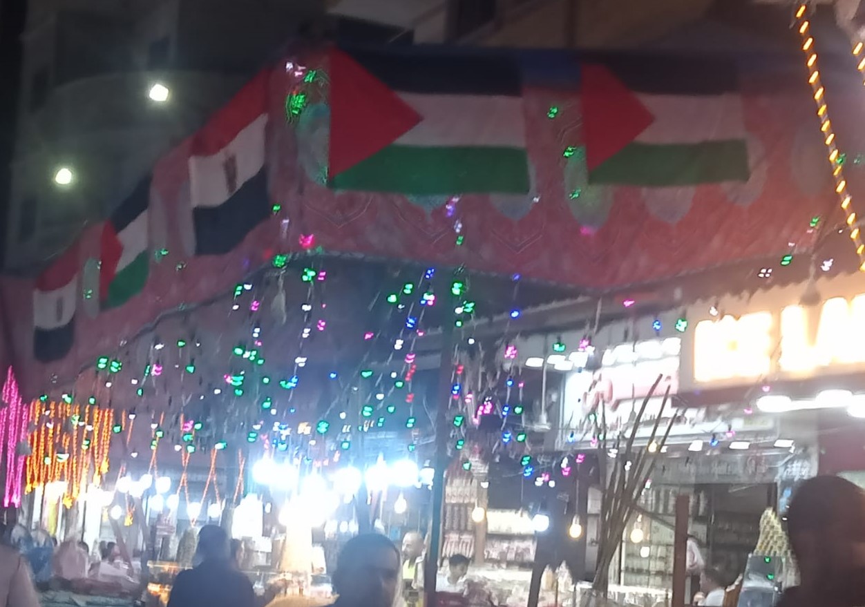 مولد الدسوقي تعبير عن التضامن مع الفلسطينيين