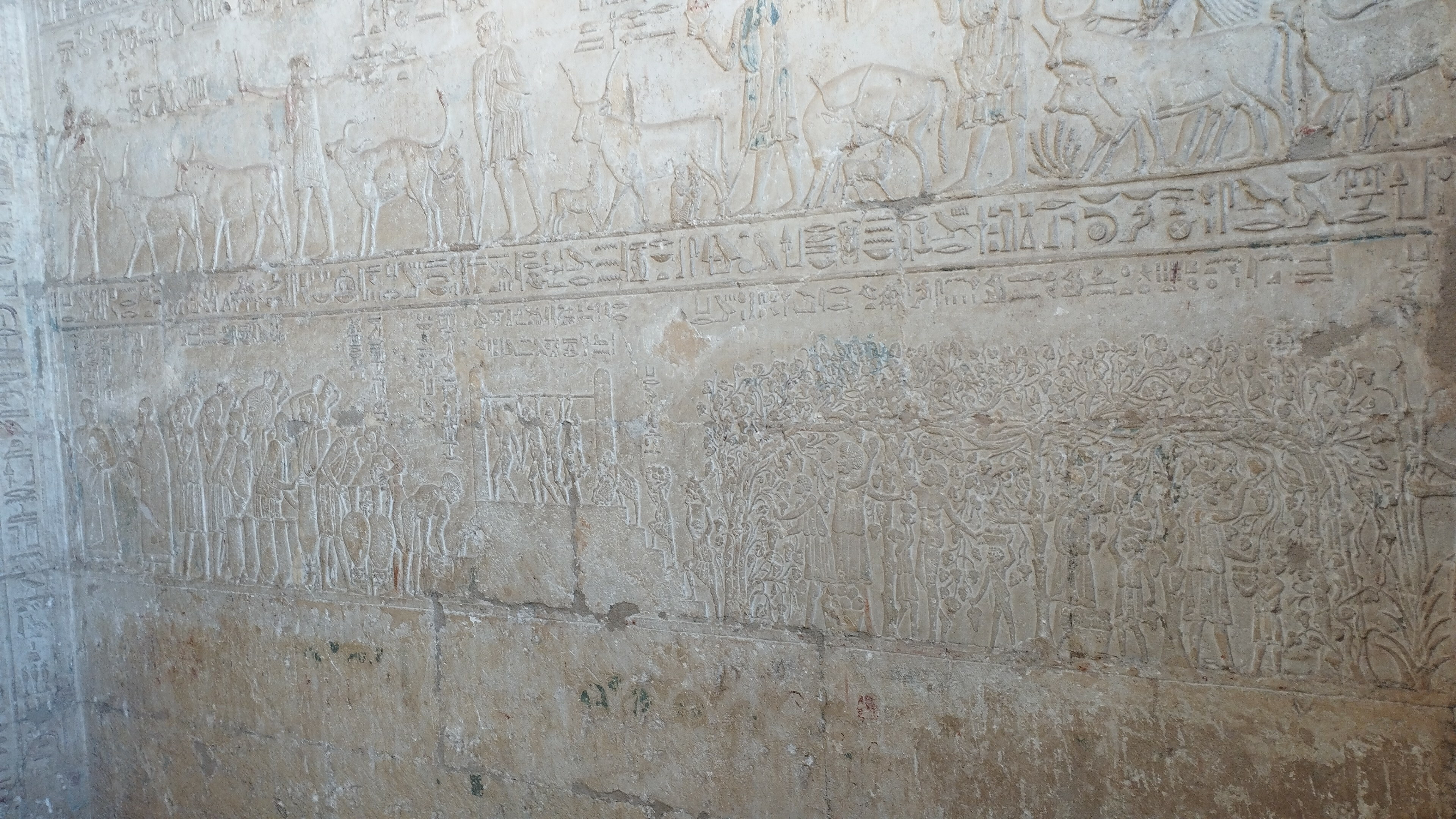 رسومات مقبرة بيتوزيرس