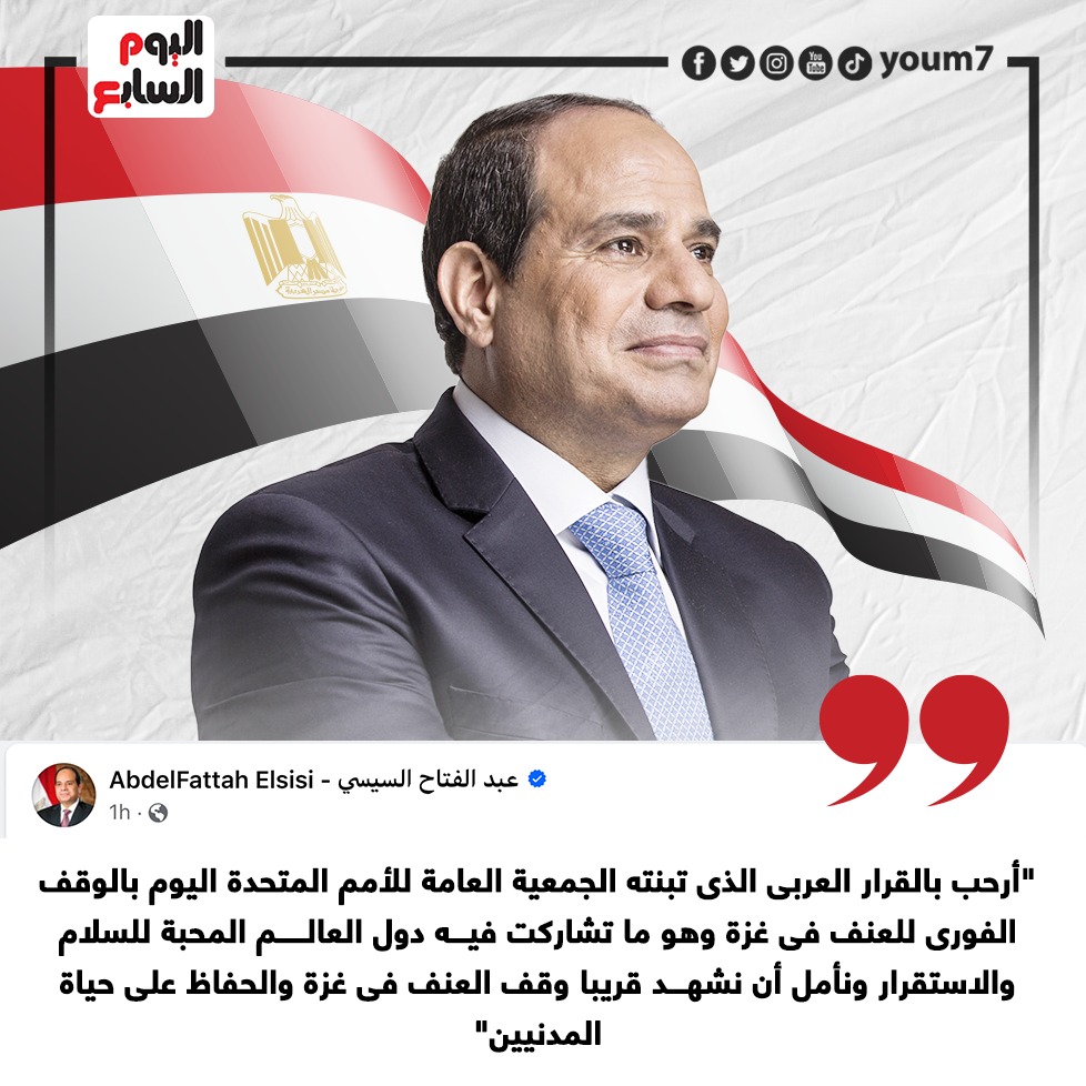 الرئيس السيسى أرحب بالقرار العربى الذى تبنته الأمم المتحدة لوقف العنف فى غزة