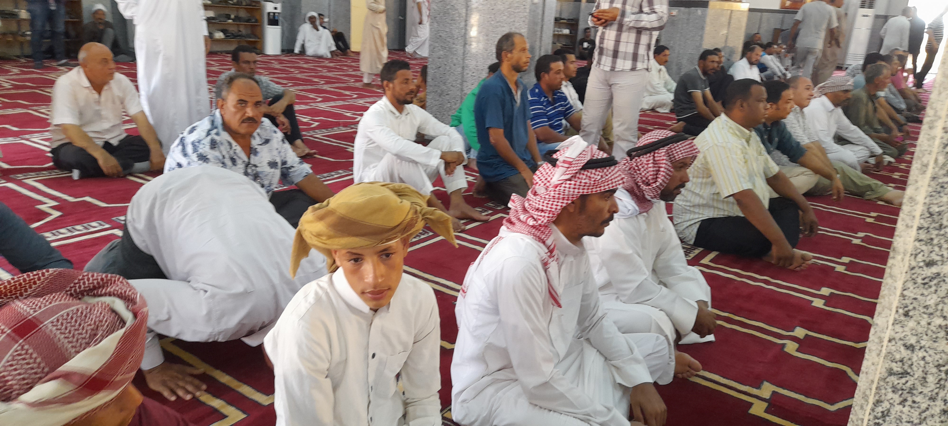 جزء من الأنشطة (7)