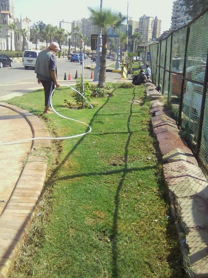 زراعة وتطوير حدائق المنتزة ثان في الاسكندرية