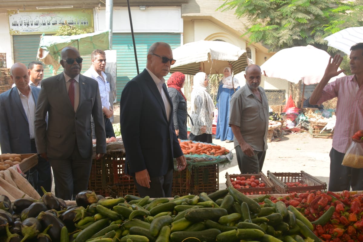 جانب من جولة المحافظ والمتابعة (2)