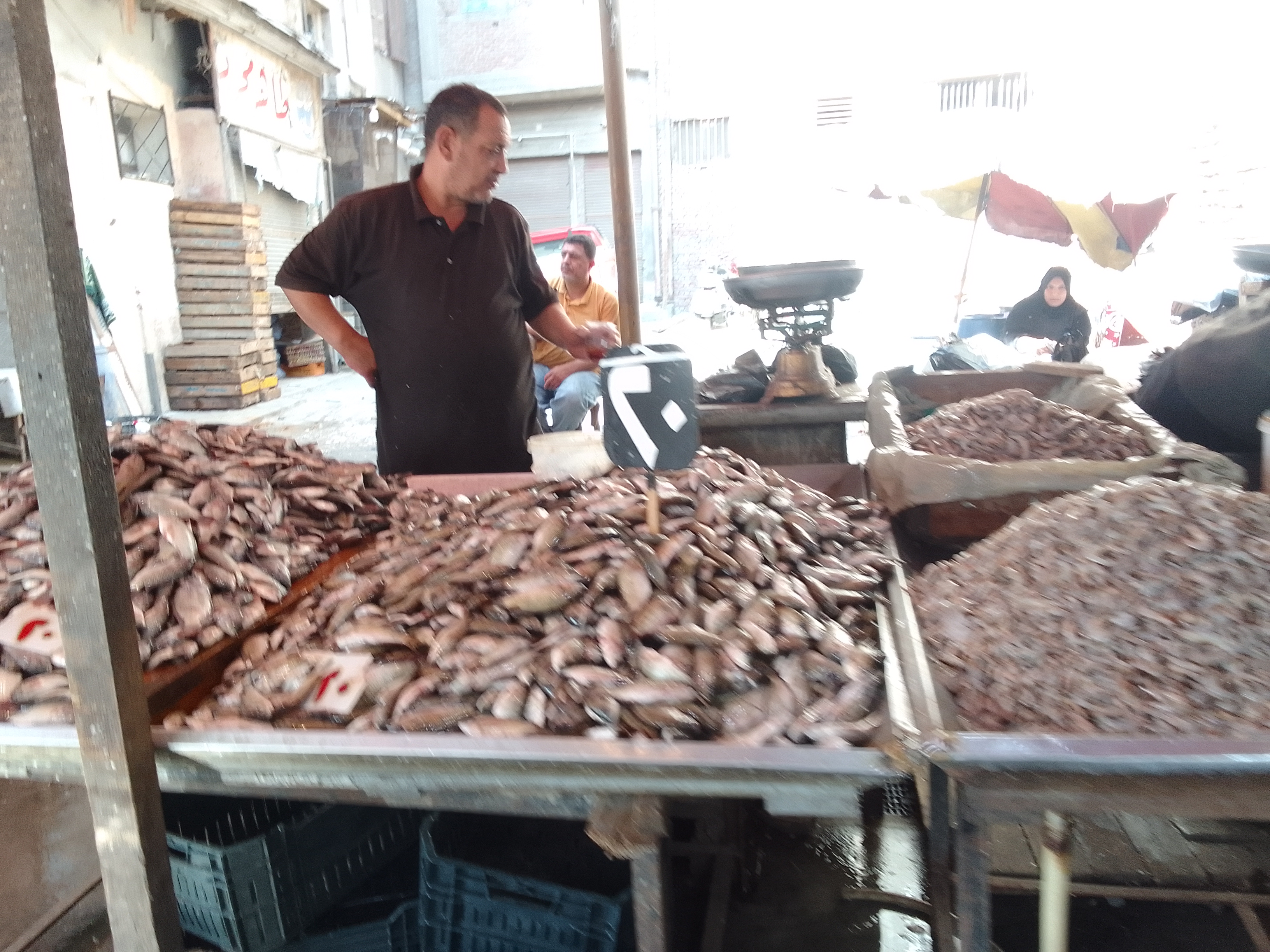 سوق الاسماك