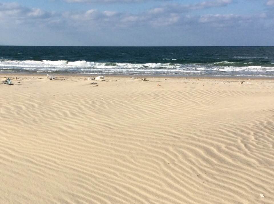 شاطئ العريش الممتد