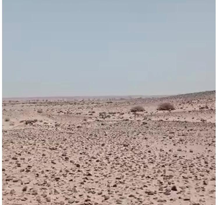 صحراء حلايب 