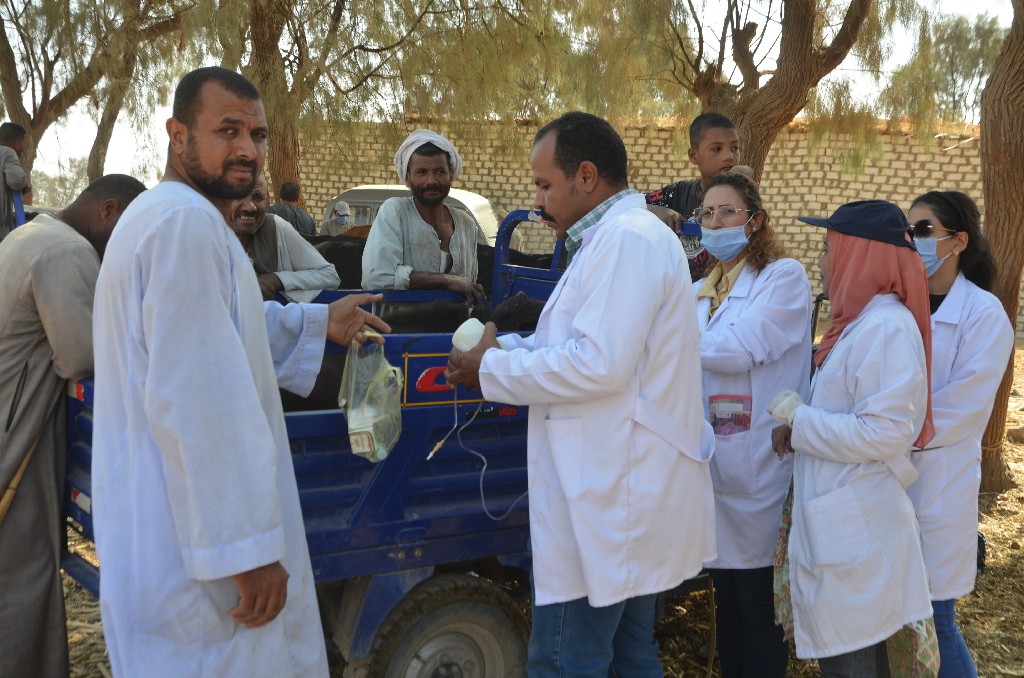 فريق قافلة طبية بيطرية إرشادية مجانية بقرية المساوية_1