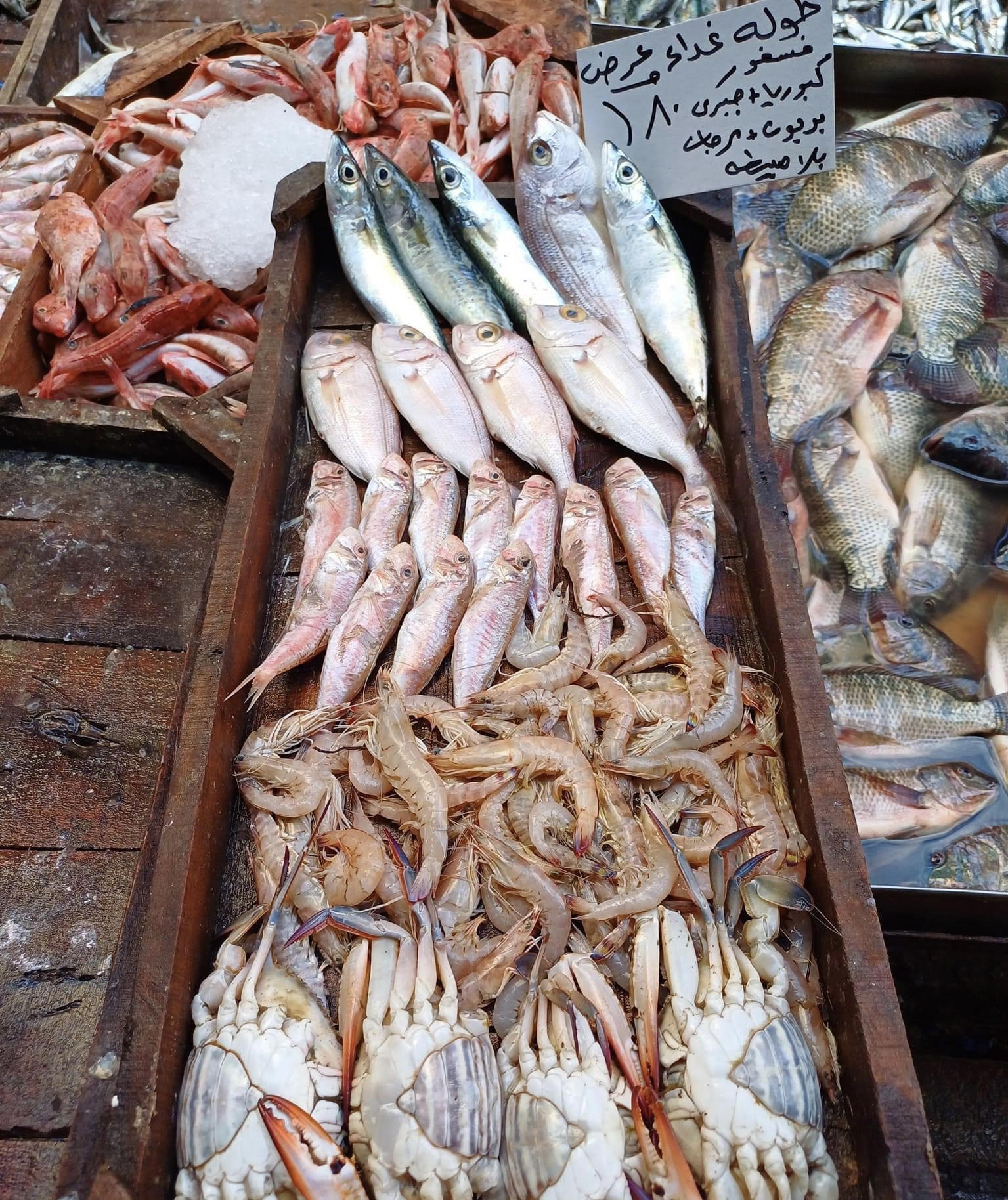 سوق السمك بالاسكندرية