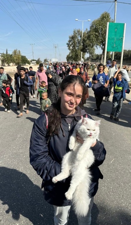 فتاة فلسطينية تحمل قطتها أثناء النزوح