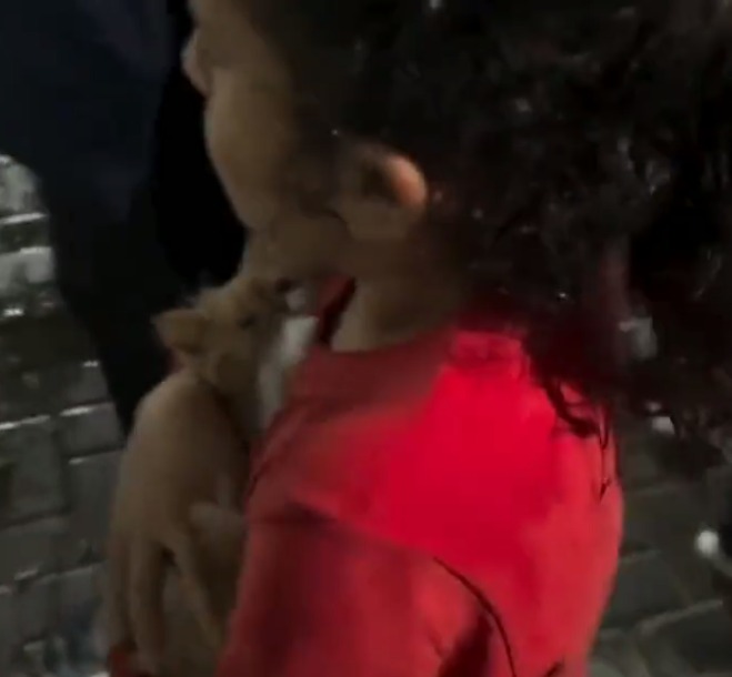 فتاة تحتضن قطتها في غزة