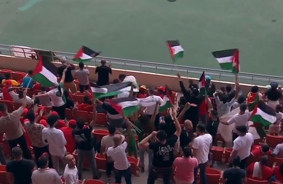 أعلام فلسطين مع الجماهير الجزائرية