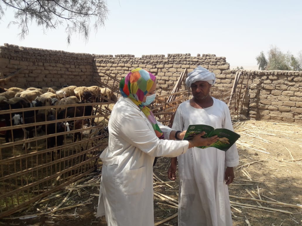 جانب من التوعية خلال الحملات بالأقصر