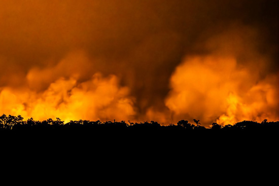 حرائق غابات البرازيل (9)