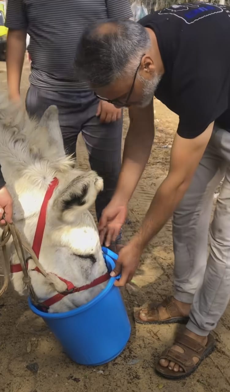 مواطن بغزة يروى عطش حيوان رغم ندرة المياه