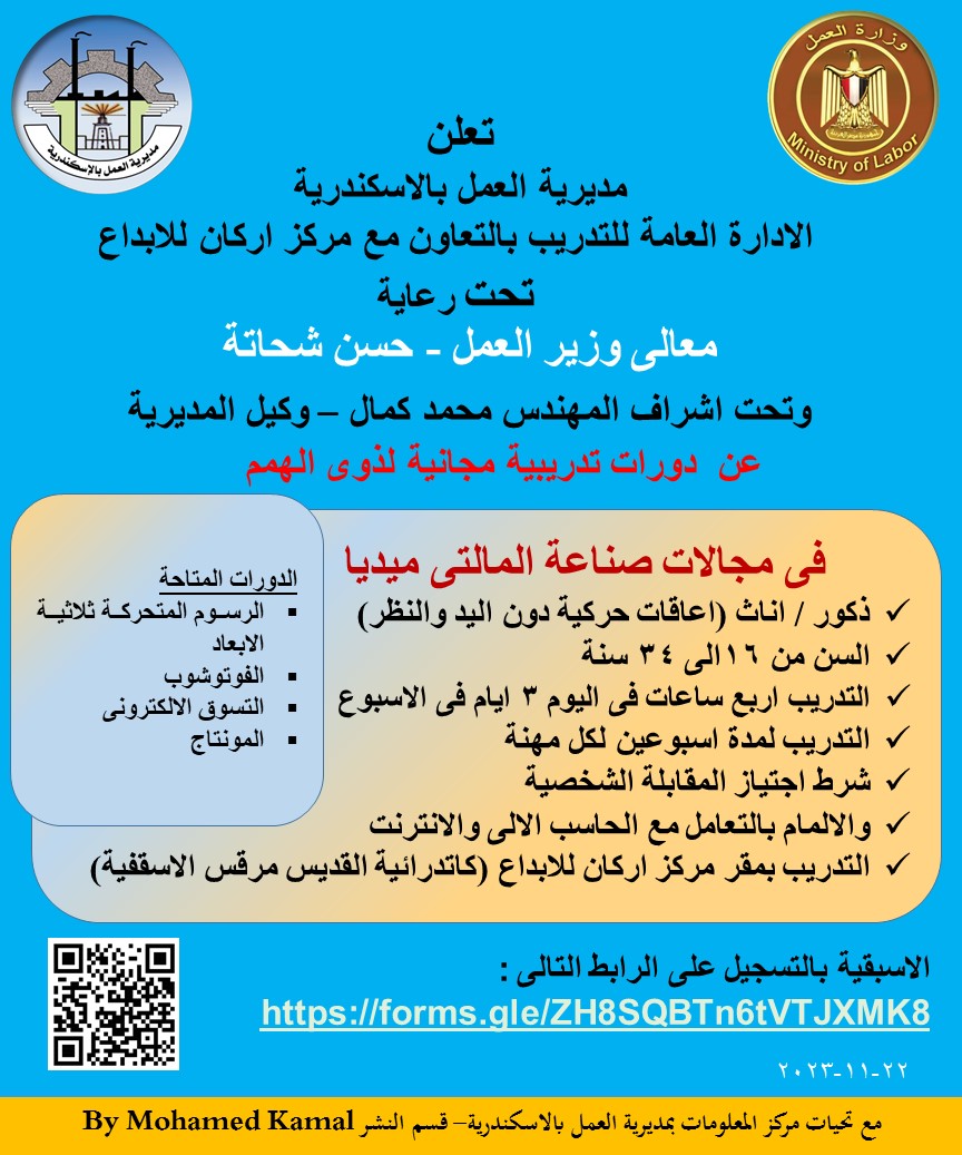 برامج تدريبية لذوى الهمم على وظائف إلكترونية لشباب الأسكندرية