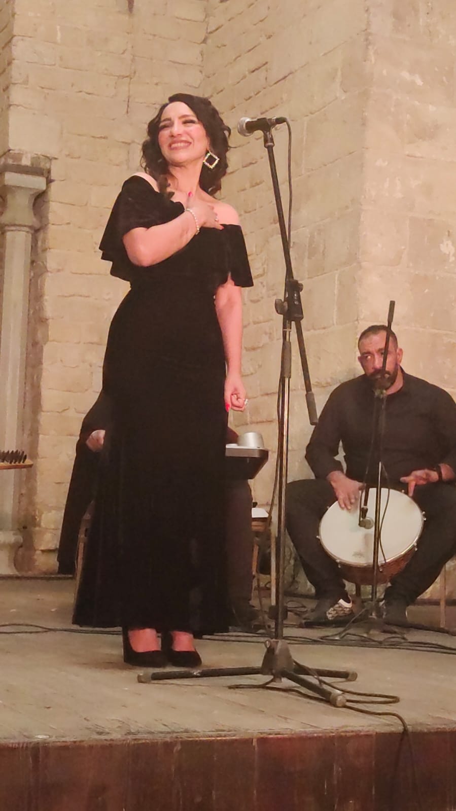حفل الفنانة سوزان مختار بقصر الامير بشتاك  (1)