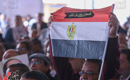 رفع أعلام مصر خلال المؤتمر