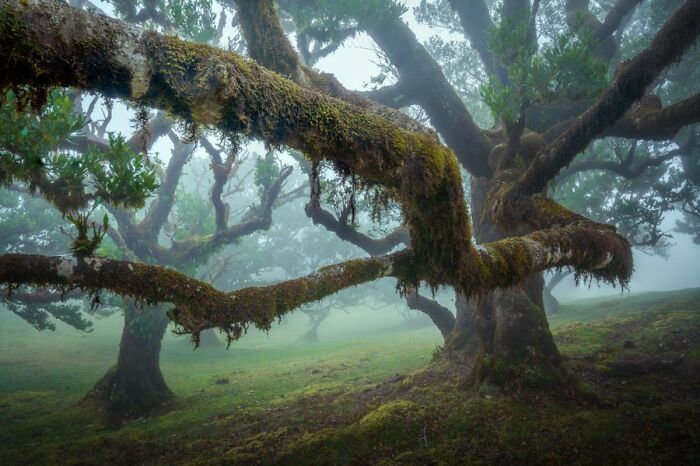 Madeira, Portugal