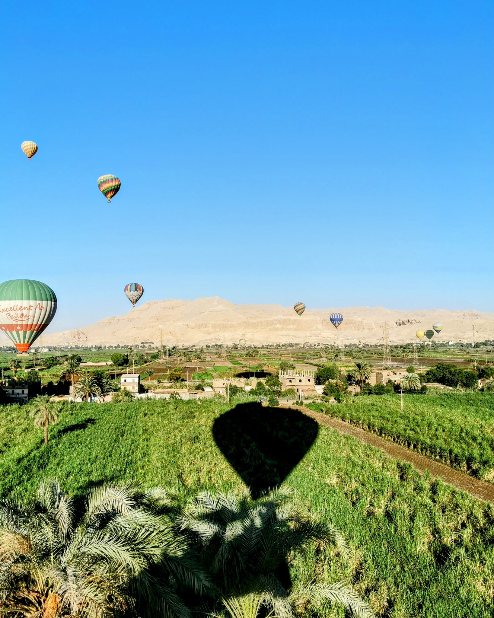 سحر البالون بين الزراعات والجبال غرب الأقصر