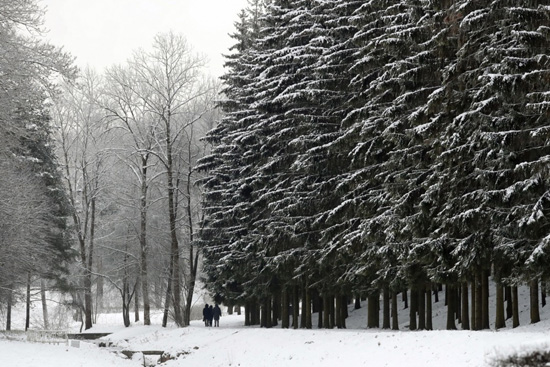 حديقة كاثرين المغطاة بالثلوج في تسارسكوي سيلو