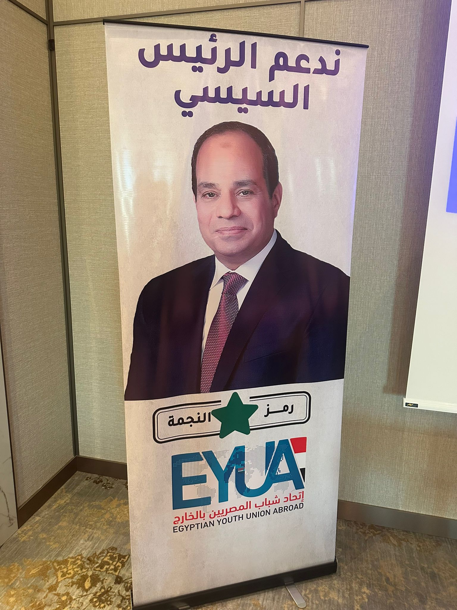 دعم المرشح الرئاسي عبد الفتاح السيسي