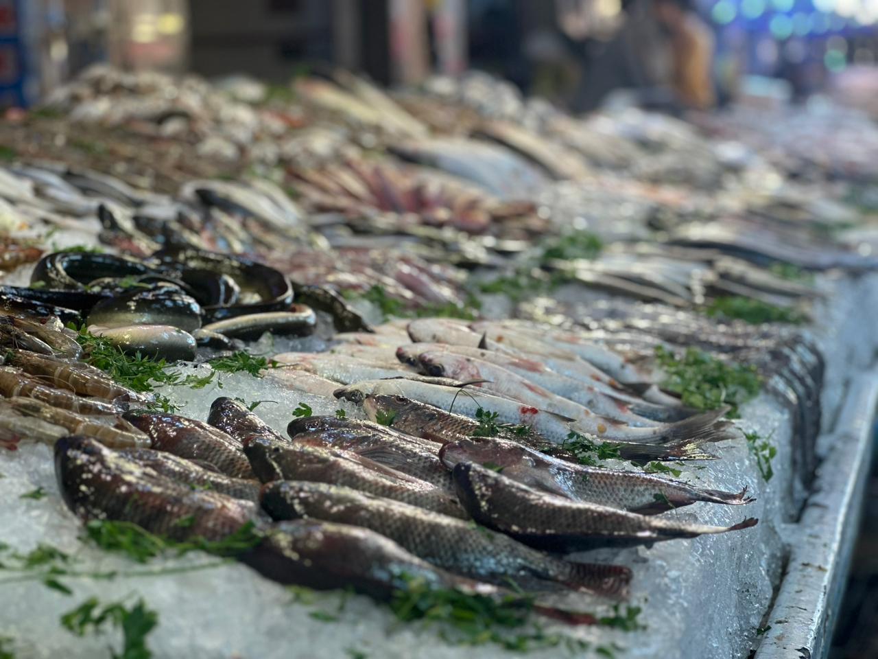 سمك سوق بورسعيد