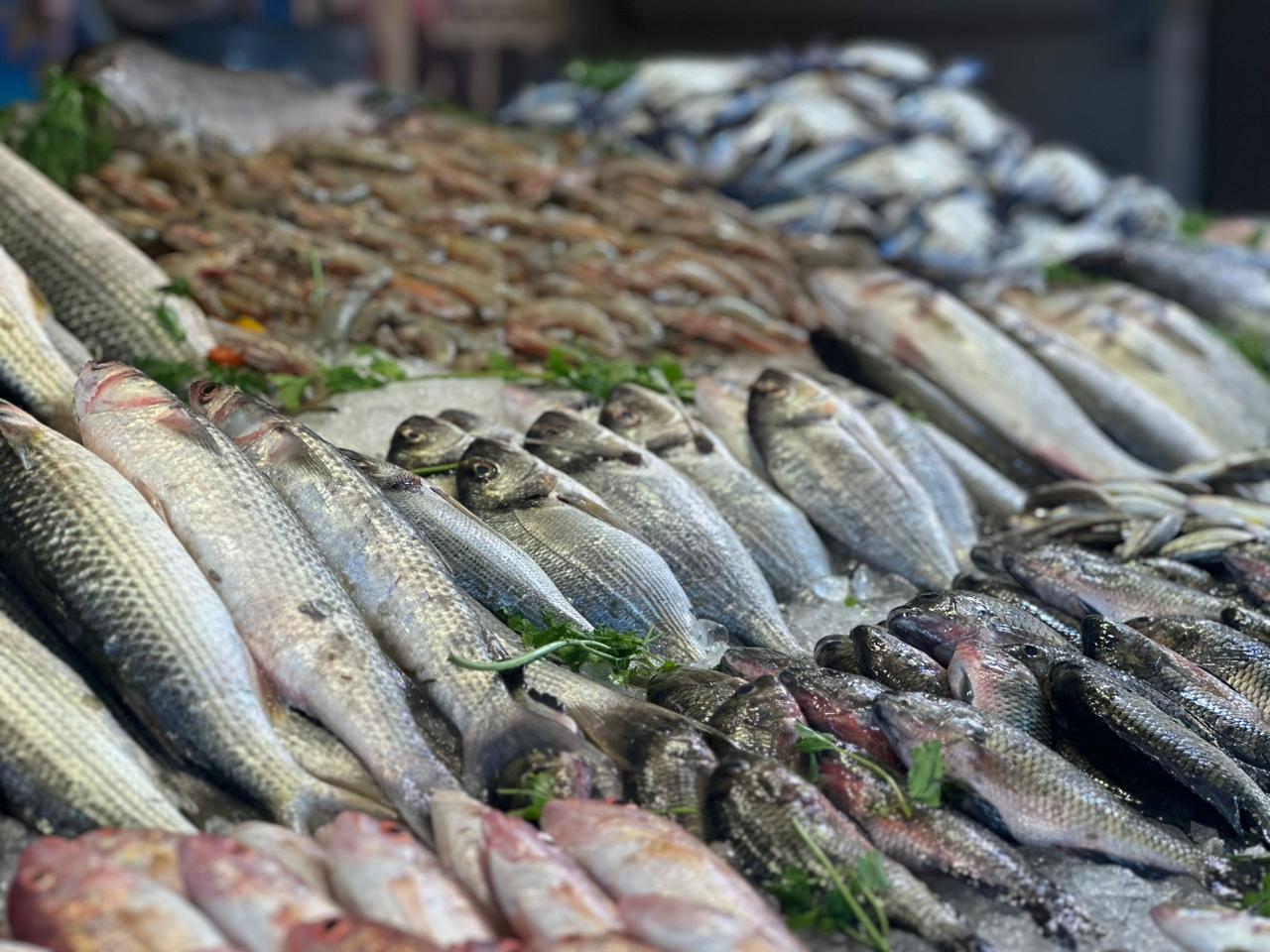 اسماك السوق في بورسعيد
