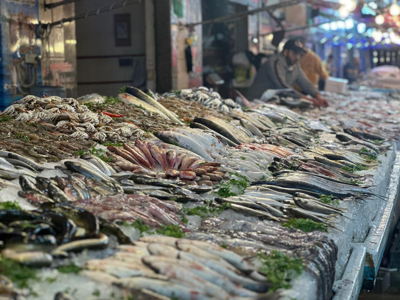 سوق اسماك محافظة بورسعيد