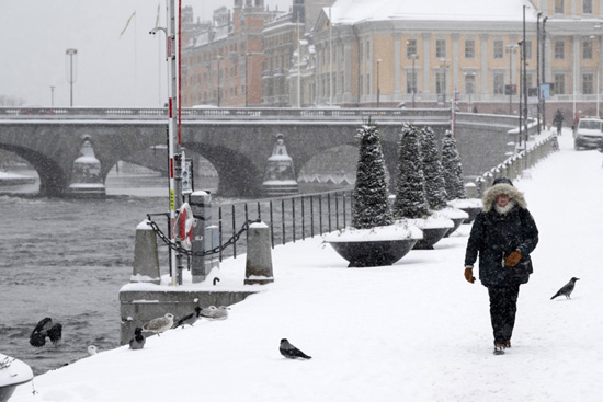 تساقط الثلوج بكثافة في ستوكهولم (4)