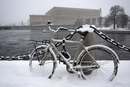 تساقط الثلوج بكثافة في ستوكهولم (6)