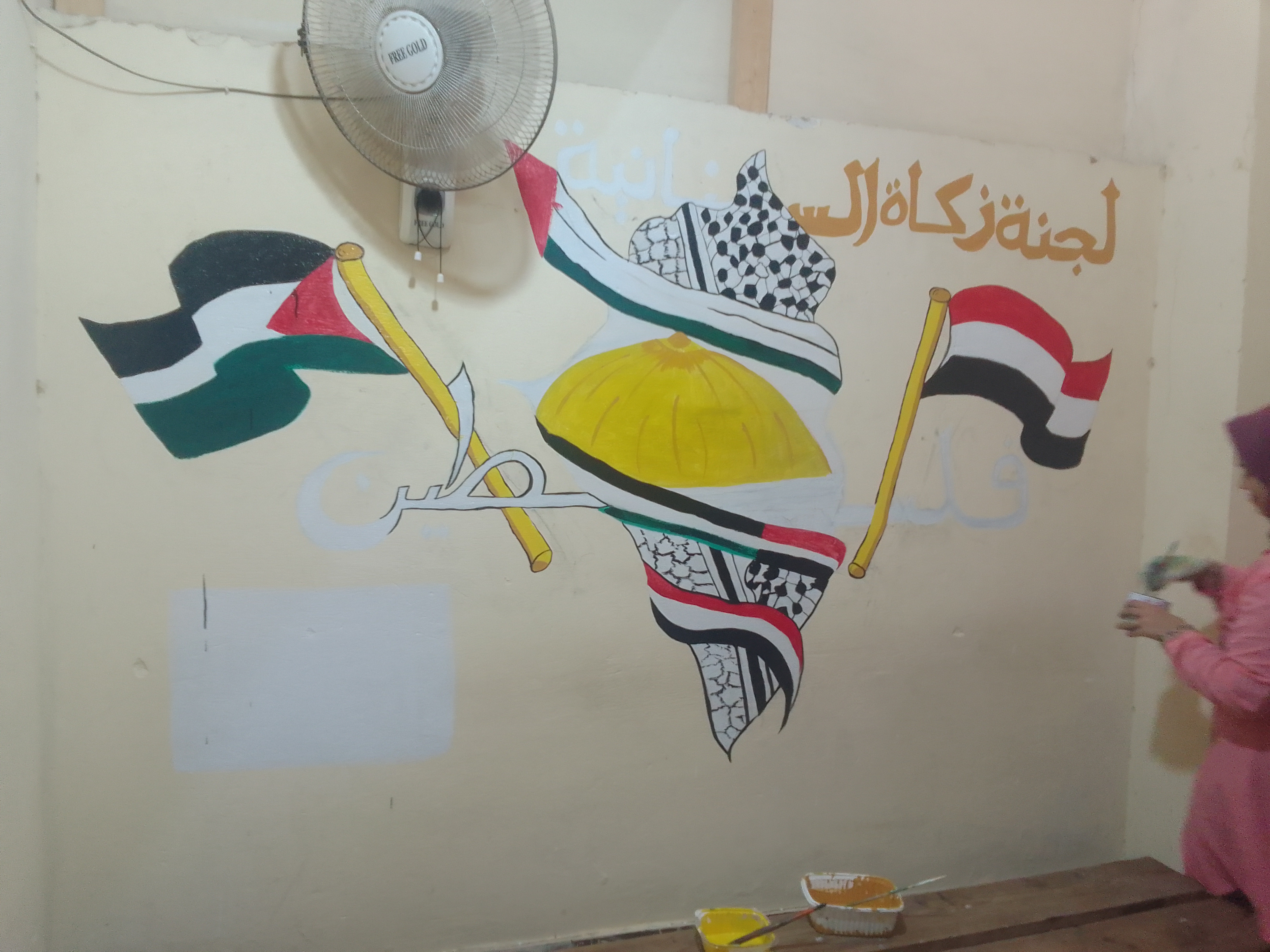 جدارية لدعم فلسطين في دمياط (6)