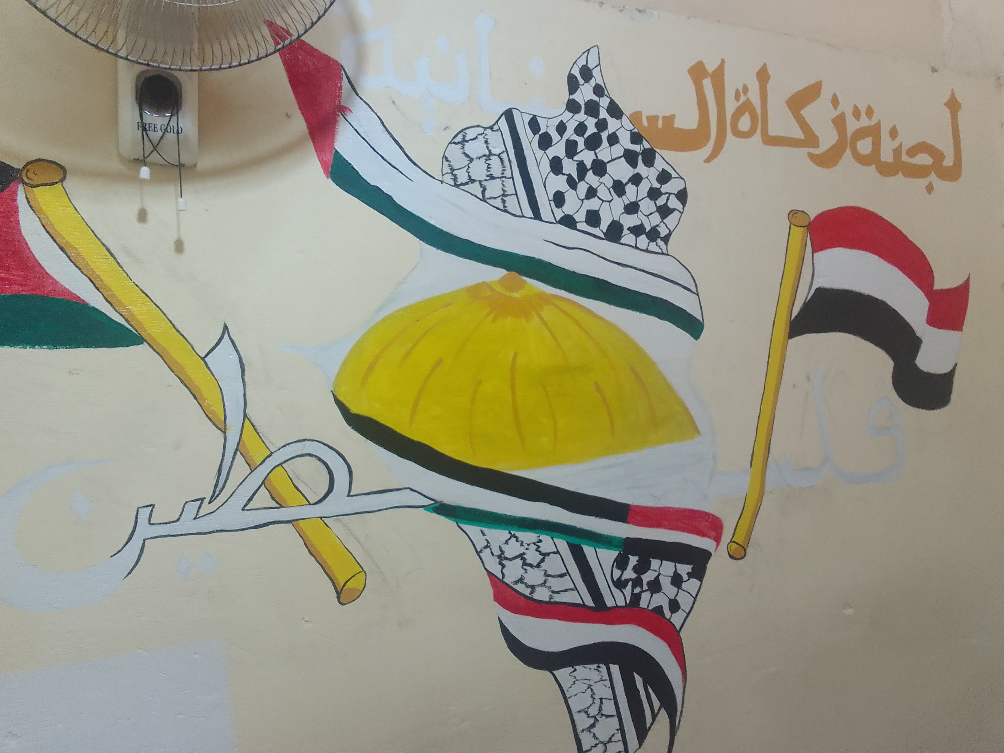 جدارية لدعم فلسطين في دمياط (5)